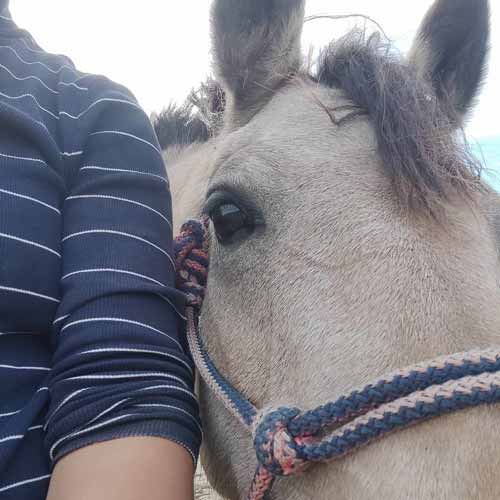 foto van grondwerk oefeningen