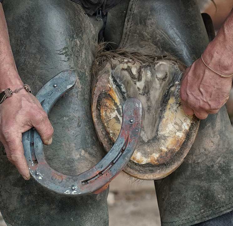 foto van een hoefijzer