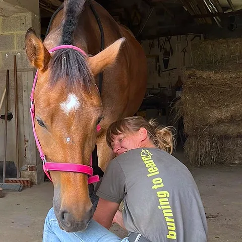 Veera geeft een Masterson Method®-sessie aan een ontspannen paard