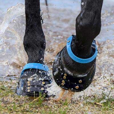 foto van een hoefschoen
