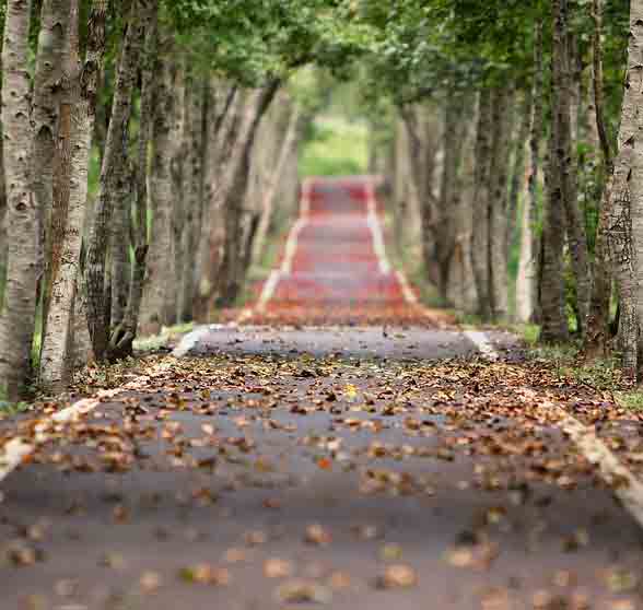 foto van een openbare weg